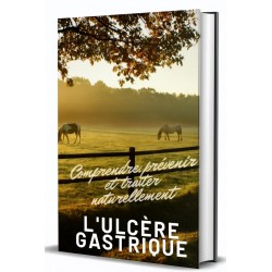 E-book Ulcères gastriques