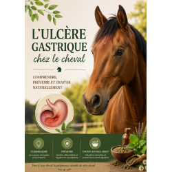 E-book Ulcères gastriques