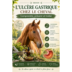 E-book Ulcères gastriques