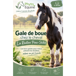 Ebook "Gale de Boue - La...
