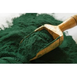 Spiruline chiens