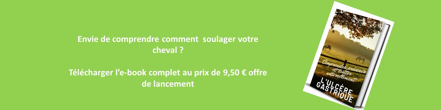 offre de lancement e-book Ulcères gastriques